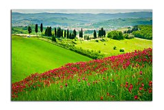 Obraz na stenu ZS - bez pomeru strán